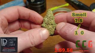 Pistol & Paris - Perma Fried - 5 Minute Review