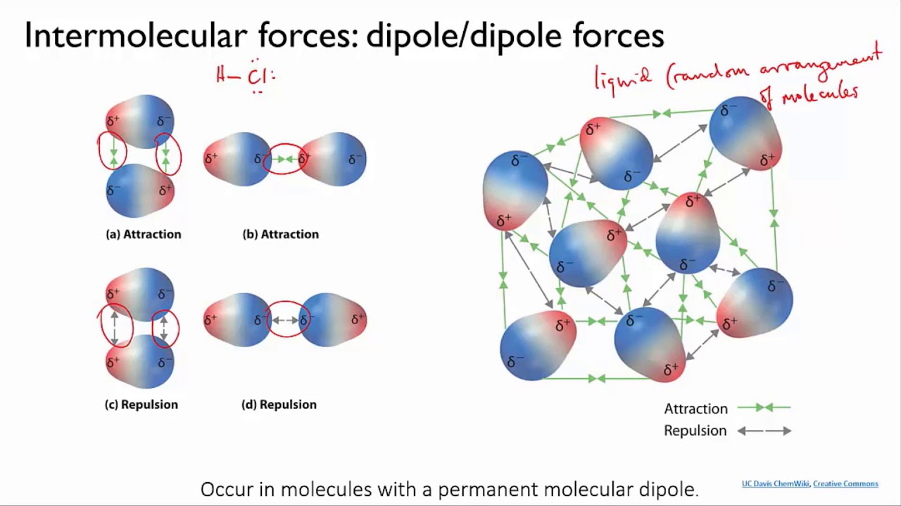 ⁣Intermolecular forces in organic molecules | Organic molecules | meriSTEM