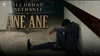 Ali Orhan Şeyhanli /Aney Aney _2026_ New S