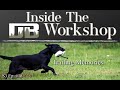 Retriever Training Drills: Trailing Memories | Ep: #18