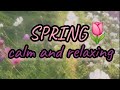 Relaxing SPRING 🌸 mobile view /calm music #spring #relaxing #sound #viral #calm #asmr 