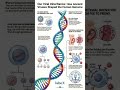 La herencia viral en nuestro ADN #cienciasobredosruedas #bioquimica #biologia #biology #science