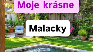 Malacky Krásne Mesto