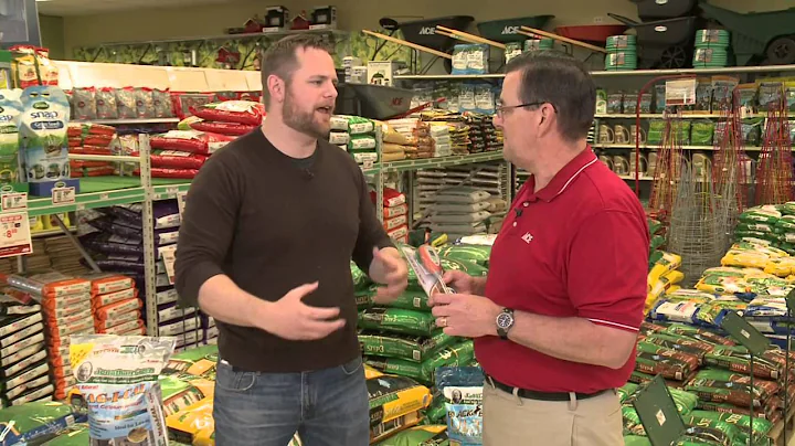 Ace Hardware Helpful Tip: Winter Lawn Repair