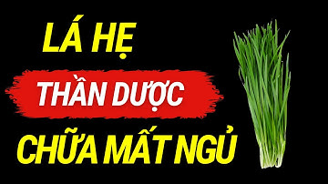 7 Công Dụng Tuyệt Vời Cho Sức Khỏe Của Lá Hẹ -Tốt Tim Mạch, Tiêu Hóa Và Đề Kháng