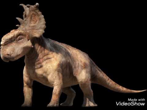 Pachyrhinosaurus Patchi Roars - Sound Effects (SFX)