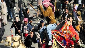 HP Catalyst Project Showcase: Cairo Cloud Computing