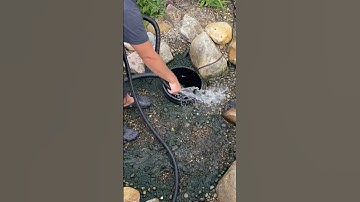 Bog Filter Clean Out | Timelapse #shorts #koipond #koi