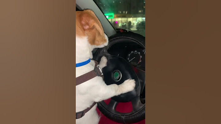 Хулиган растет 🙈