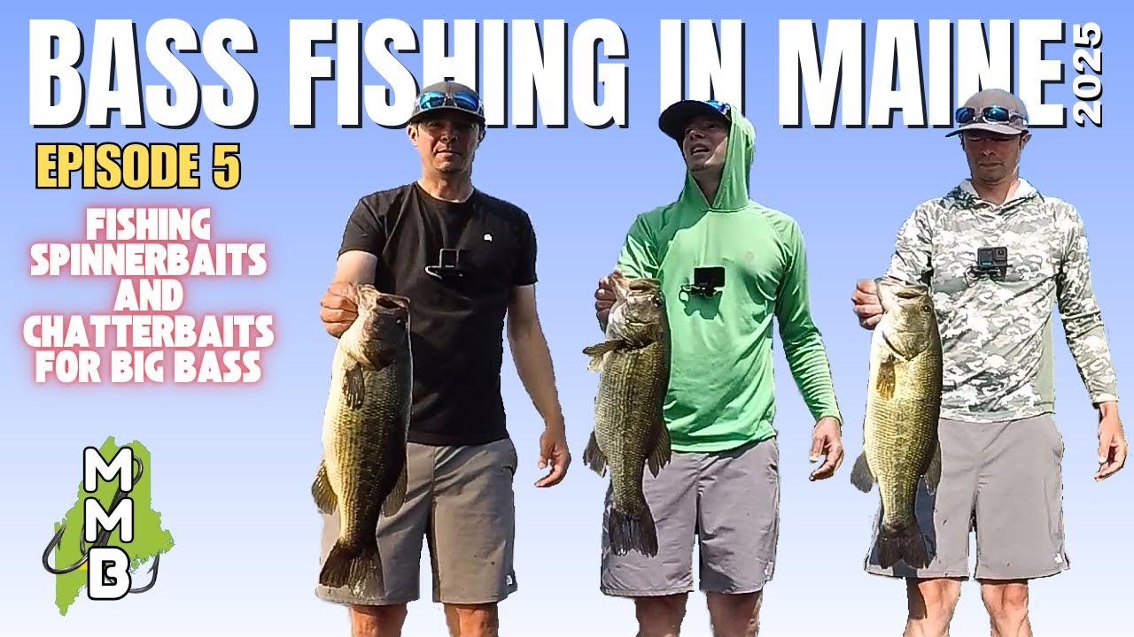 Fishing Spinnerbaits and Chatterbaits for Big Bass