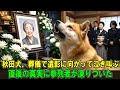 【奇跡の実話】おばあさんの葬儀で、秋田犬は遺影の前で止まらず泣き叫んでいた…その後に起きた出来事は、見る者の涙を誘った！