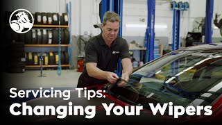 Changing Your Wipers | Servicing Tips with Craig Lowndes | Holden