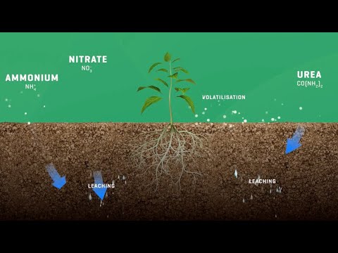 NEO - stabilised & optimised fertiliser