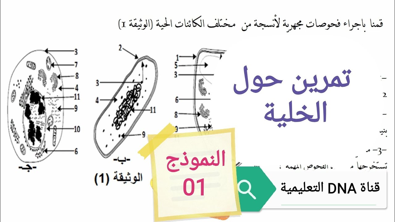 تمارين الخلية وحدة بنيوية للسنة الثانية ثانوي