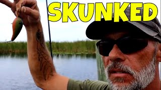FISHING THREE FORKS ON THE ST  JOHNS RIVER