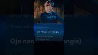 OJO NANGIS - HAPPY ASMARA LIRIK #shorts