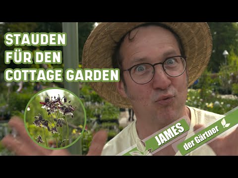 Video: Auswahl Von Sträuchern Und Stauden Für Einen Englischen Garten