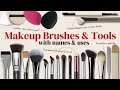 Makeup Brushes Guide for Beginners &amp; Professional Artists (With Demonstrations)