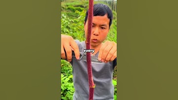 What Is A Useless Skill You Have?