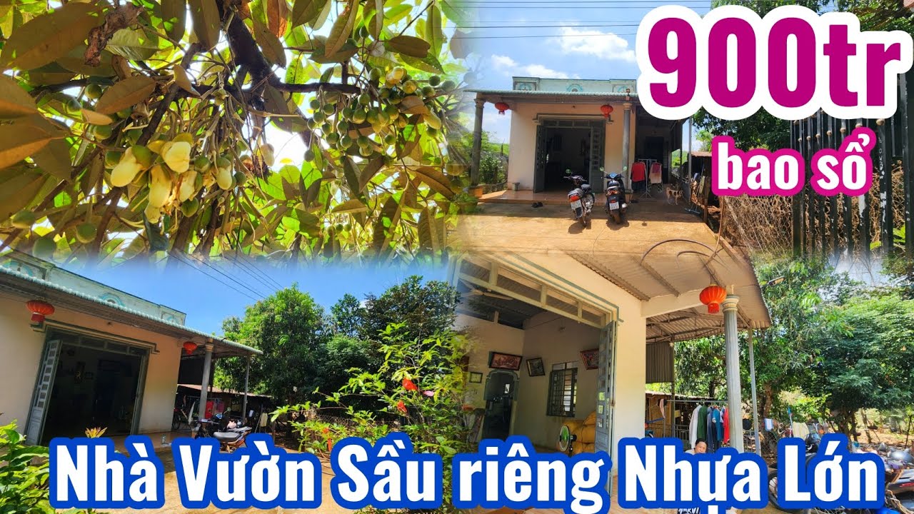S.58.Bán Nhà Vườn Sầu riêng. Chôm chôm tặng Chuồng trại (30x60x64)=1.954.7m² giá 900tr bao sổ 