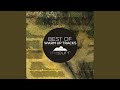 The Gulf (Original Mix)