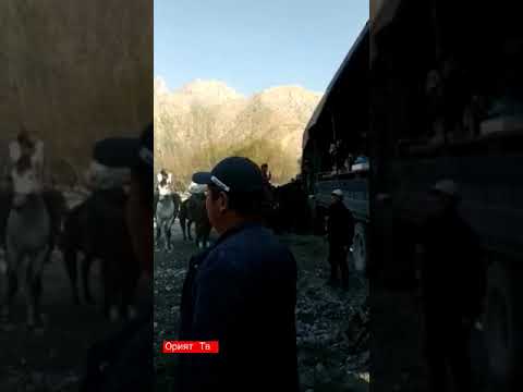 Нишон полвон дар