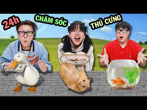 #1 Thử Thách 24h Chăm Sóc Thú Cưng: Hamster, Vịt, Cá Mới Nhất 1 #1 Thử Thách 24h Chăm Sóc Thú Cưng: Hamster, Vịt, Cá Mới Nhất
