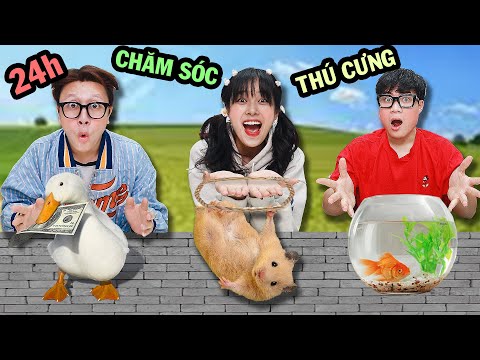 #1 Thử Thách 24h Chăm Sóc Thú Cưng: Hamster, Vịt, Cá Mới Nhất