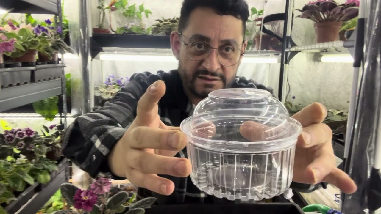 Riego por capilaridad o riego por mecha.