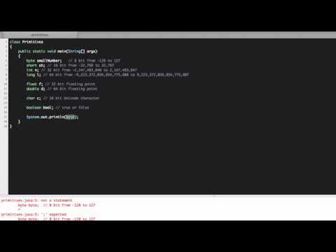 01 - Java Basics - Primitives