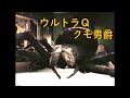 ウルトラＱ ｢クモ男爵｣～大ぐも タランチュラ