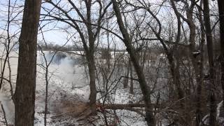 exploding target vs 60' oak tree