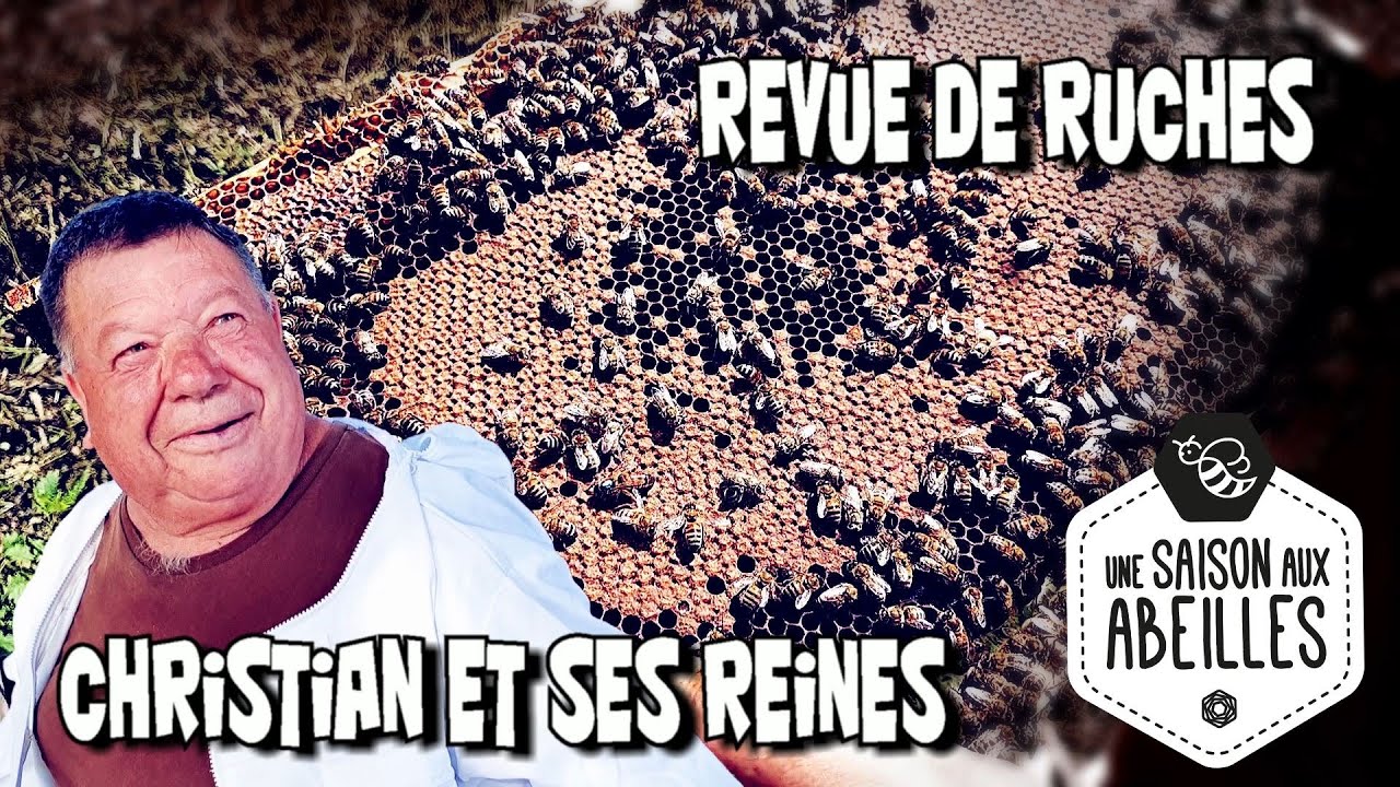 Une Saison Aux Abeilles S03E21 Christian et ses reines/Revue de ruches