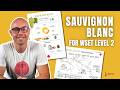 Sauvignon Blanc for WSET Level 2 in Wines