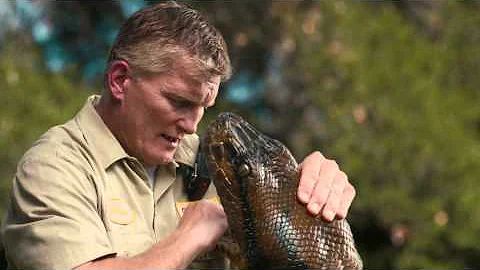 1-800 CONTACTS "Snake"