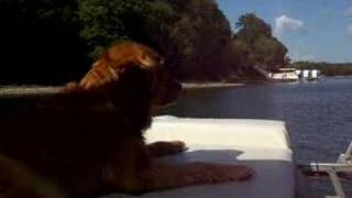 Boating For Daisy 4W1B6L