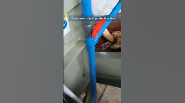 Lotus Root Starch Processing Production Line