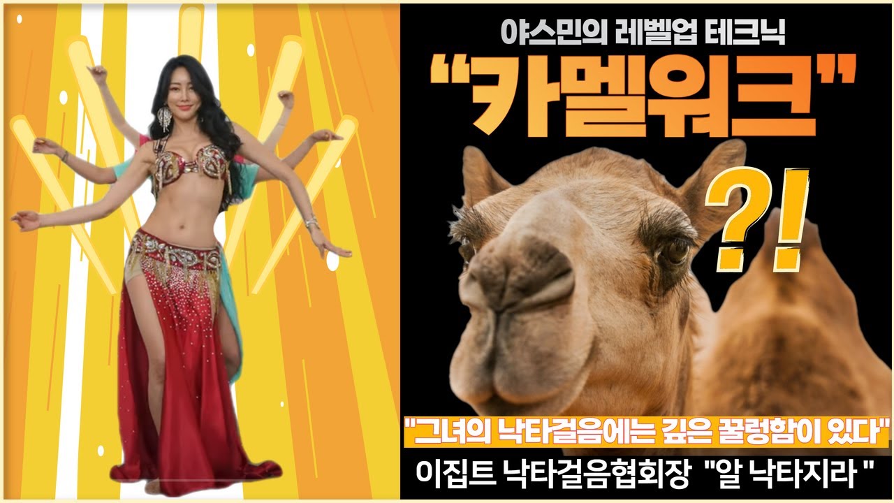 레벨업 테크닉 Yasmin belly fit / belly workout 야스민의 홈 벨리댄스  / 카멜워크