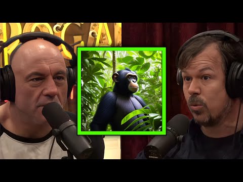 Video: „Pet Scoop“: JAV gali įrašyti įstrigusius chimpsus kaip nykstančius, vaizdo šou paslaptingas žuvis