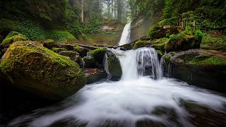 Soft Waterfall & Forest Stream 💧 | 3 Hours Relax / Focus screenshot 3