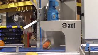 ZTI Sorting Line Pumpkin