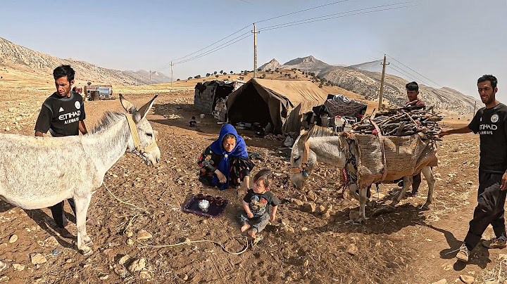 Inside the Life of a Nomadic Family: Fueling with Firewood