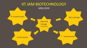 IIT JAM Biotechnology 2019…Immunology: Hematopoiesis/ all options from the question are explained.