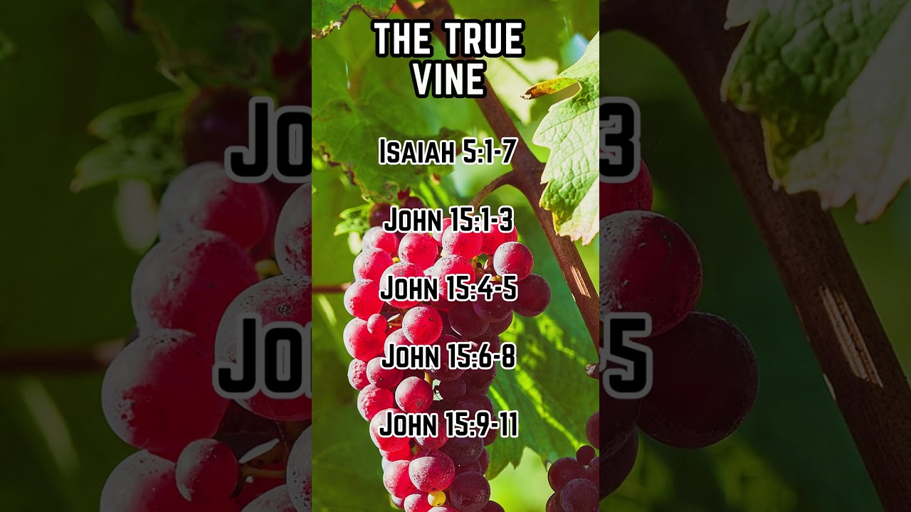 Shadyside Church of Christ