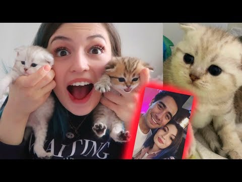 KEDİLERİM BÜYÜYOR, ZACH KİNG İLE TANIŞTIM!