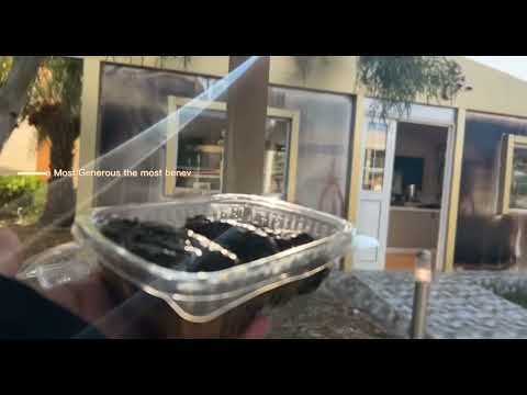 يوم في جامعة الملك سعود عليشة  