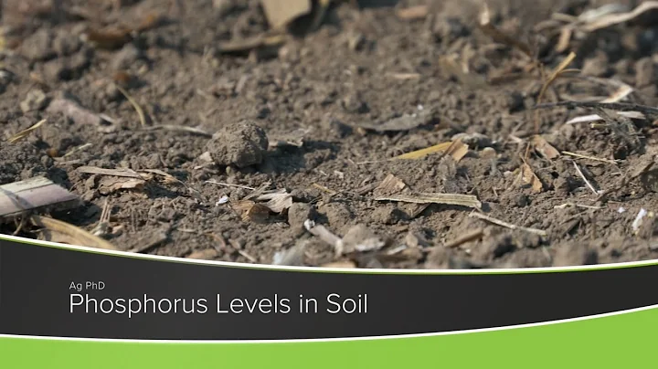 Phosphorus Levels In Soil (From Ag PhD Show #1178 - Air Date 11-1-20)