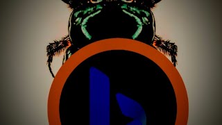 Bing Trending Search February 28 29 2024