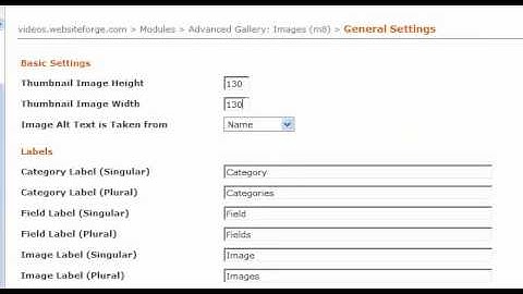 Advanced Gallery Basic Settings and Labels - Websiteforge Ecommerce Website