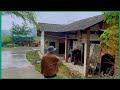 The process of renovating a dilapidated old house in a Chinese village